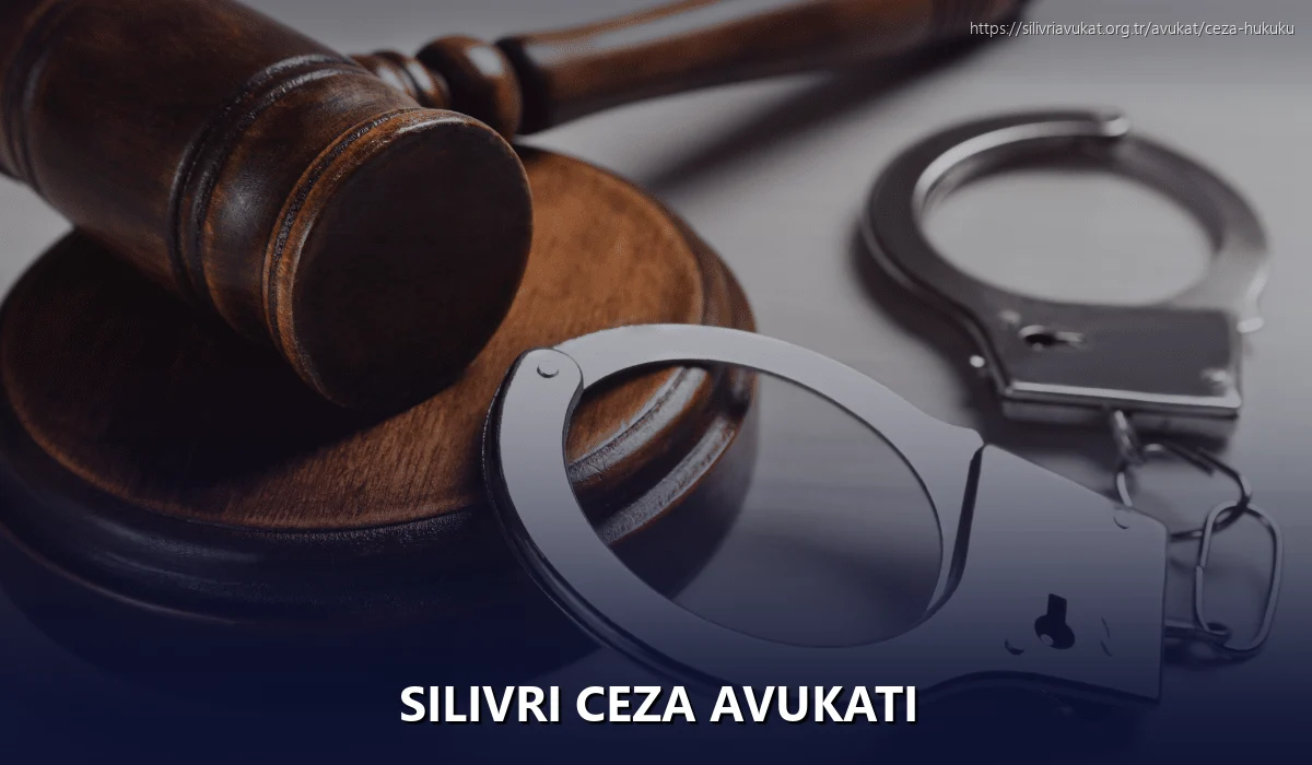 Silivri Ceza Avukatı